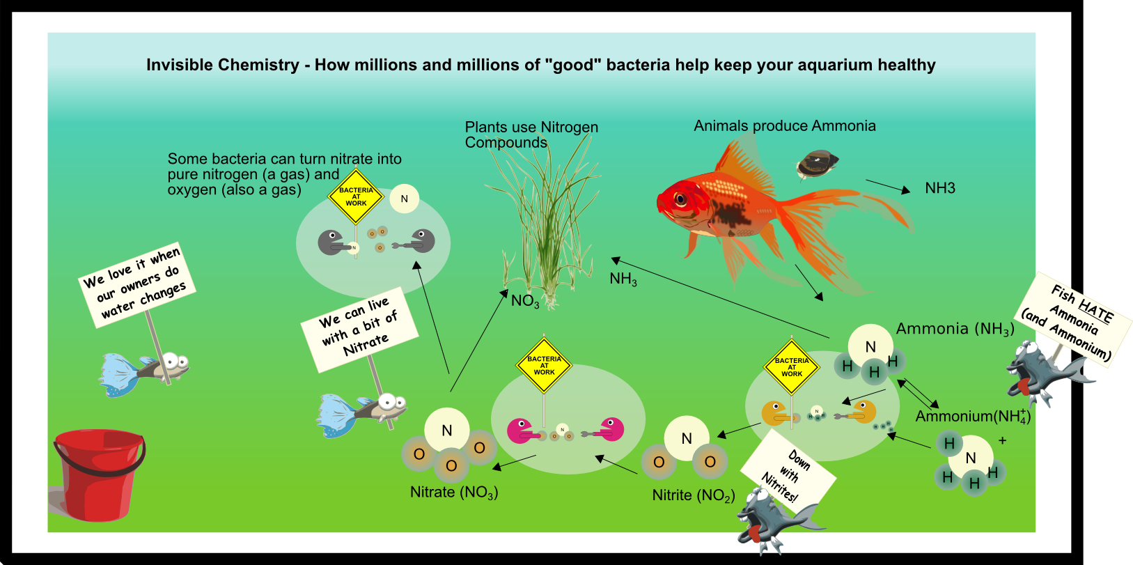 Using “Good” Bacteria in Your Aquarium